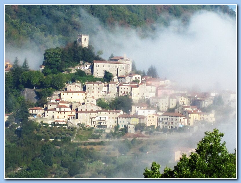 Mimi Foggy AM in Cardoso